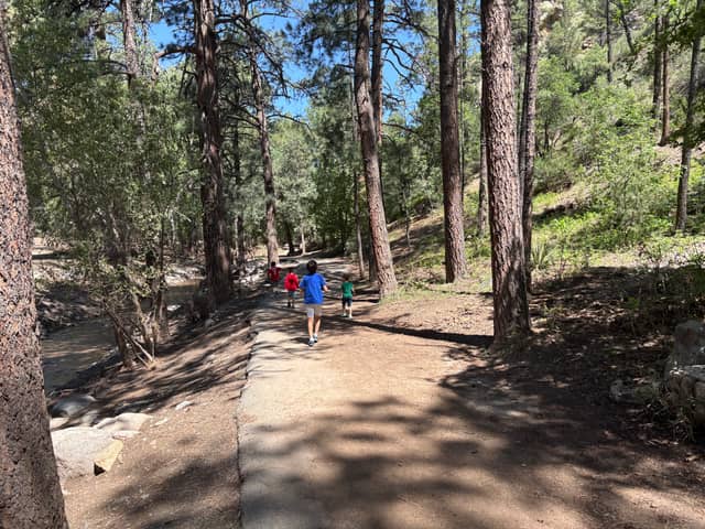 Carrizo Canyon Trail - Image 1