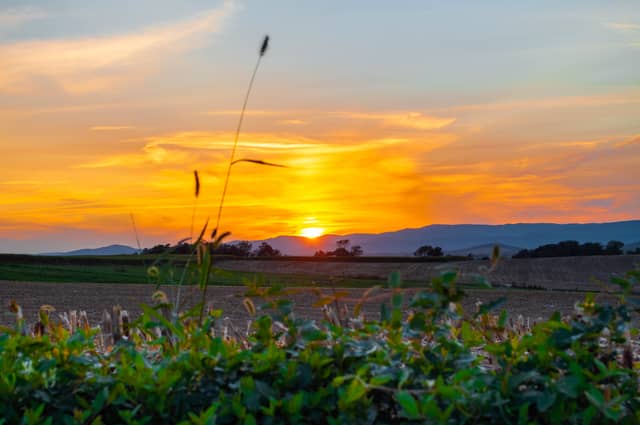 Shenandoah Valley Farmland - Image 1
