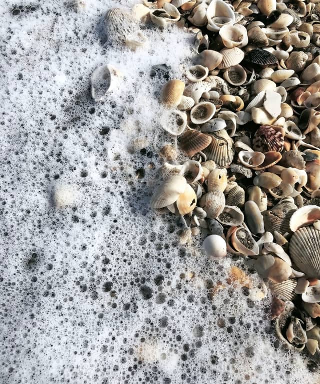 Jensen Beach Shoreline - Image 1