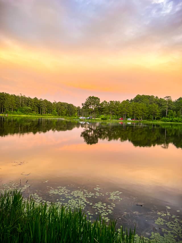 Mott Lake - Image 1