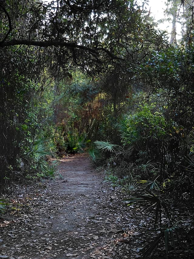 Mary Esther Coastal Woodland Trail - Image 1
