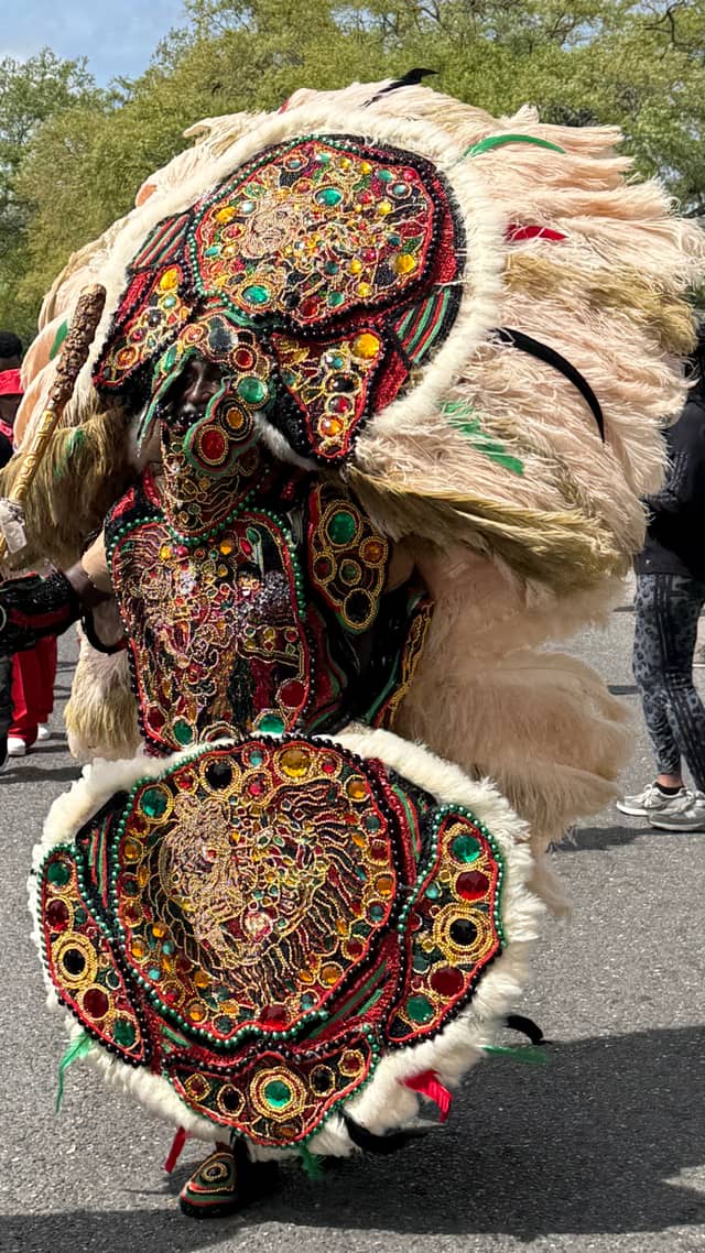 Mardi Gras Indian Parade, New Orleans - Image 1