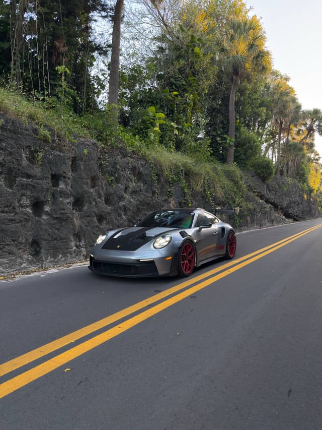 Hi Mount Road Coral Walls - Image 1