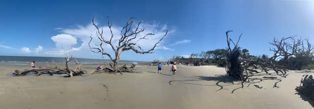 Driftwood Beach - Image 1