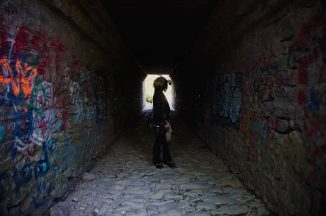 Old Tunnel Road Stone Tunnel - Image 1
