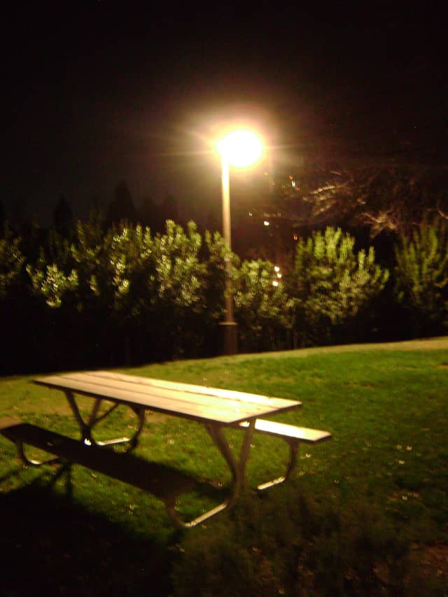 Santa Ana Neighborhood Park - Image 1