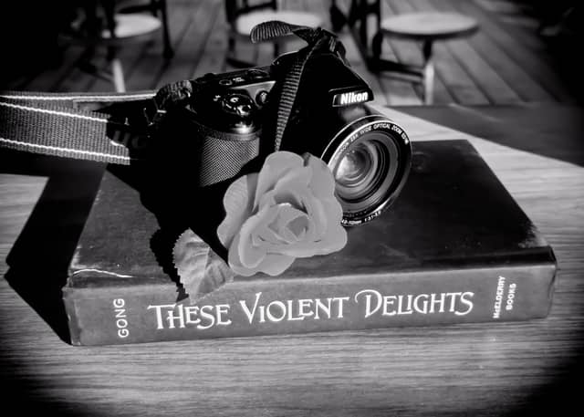 Still Life Tabletop Arrangement - Image 1