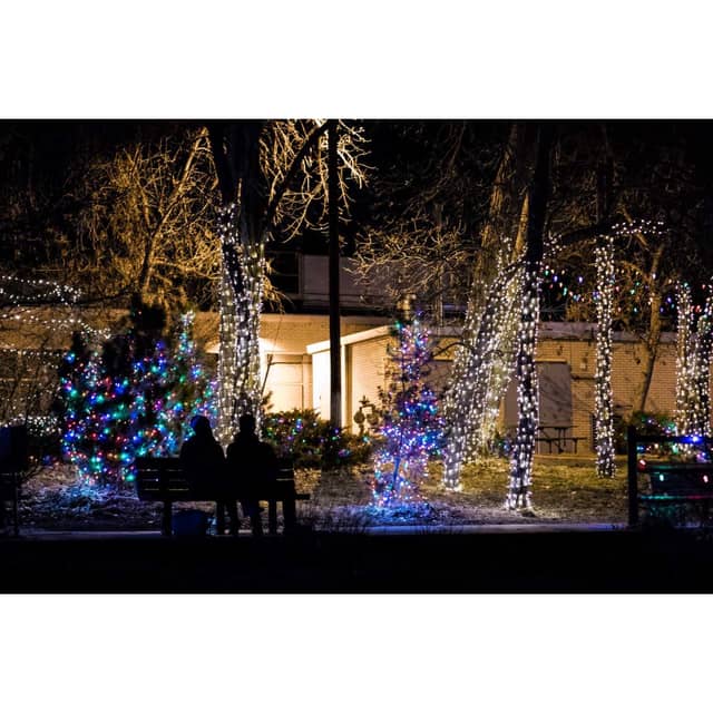 Boulder Winter Light Display - Image 1