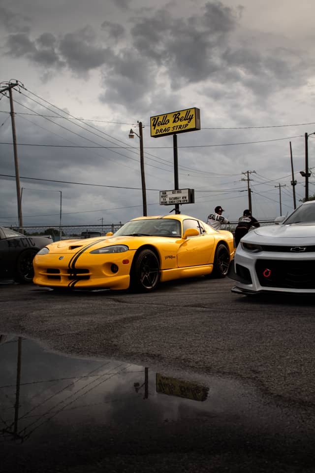 Yello Belly Drag Strip - Image 1