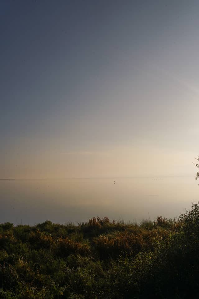 Laguna Madre Overlook - Image 1