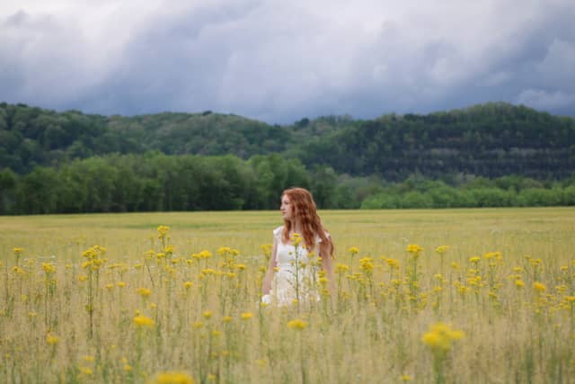 Franklin Furnace Wildflower Fields - Image 1