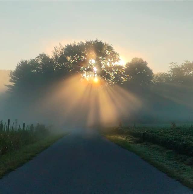 Sandy Springs Lane Sunbeams - Image 1