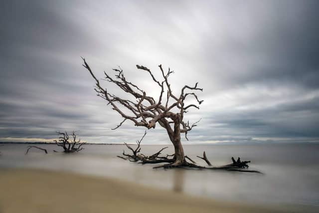 Driftwood Beach - Image 1