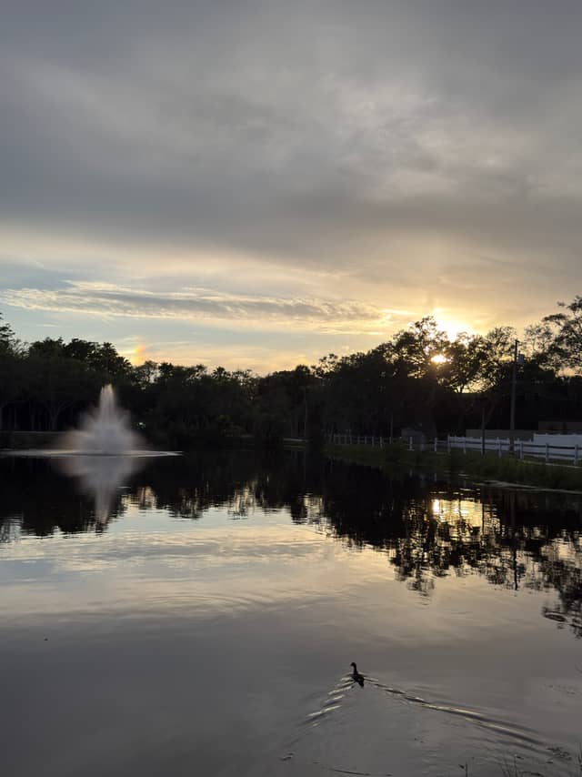 Gulfport Neighborhood Pond - Image 1