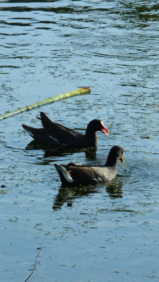 Clam Bayou Nature Park - Image 1