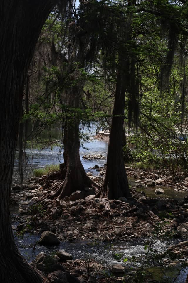 Guadalupe River at Gruene - Image 1