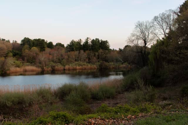 Shetucket River Overlook - Image 1