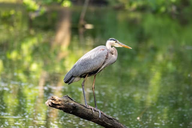Firestone Metro Park - Image 1