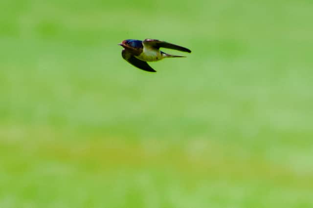 Firestone Metro Park - Image 1