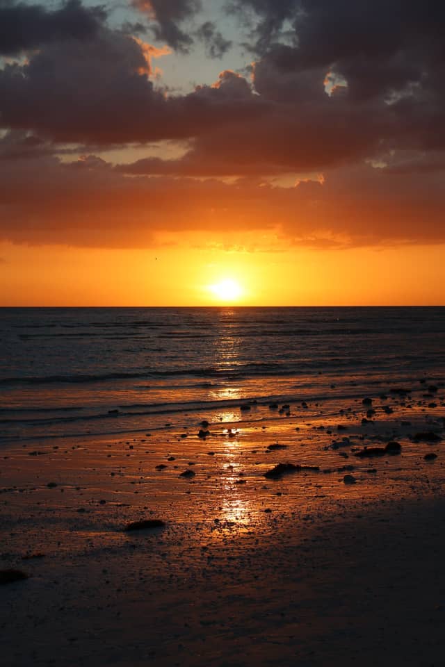 Honeymoon Island State Park - Image 1