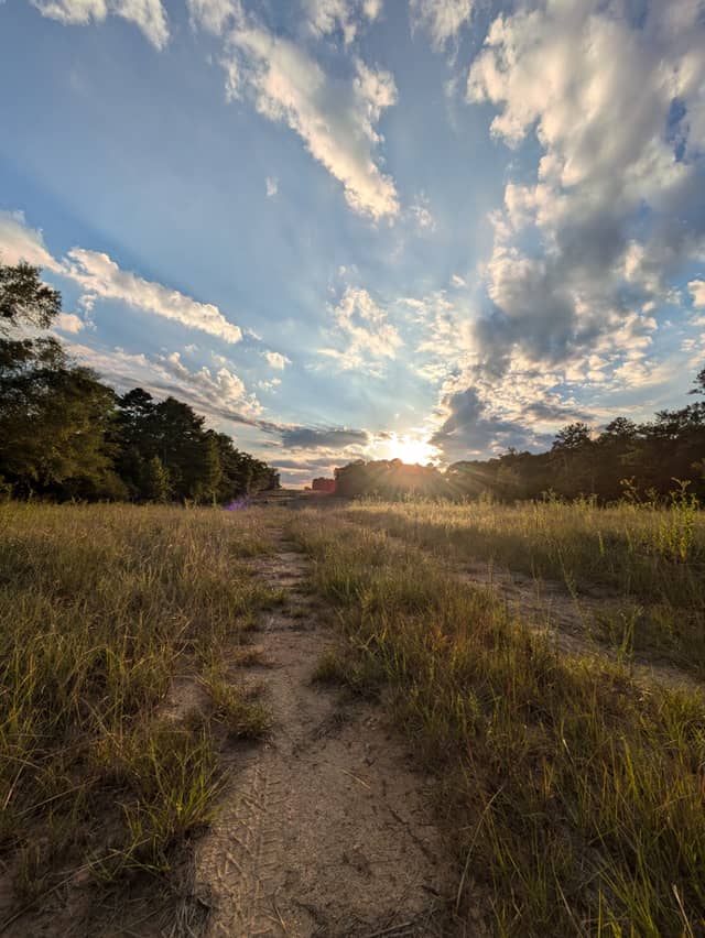 Ebenezer Road Meadow - Image 1