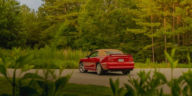 Stony Point Forest Drive - Image 1