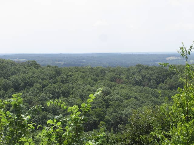 Vichy Forest Overlook - Image 1