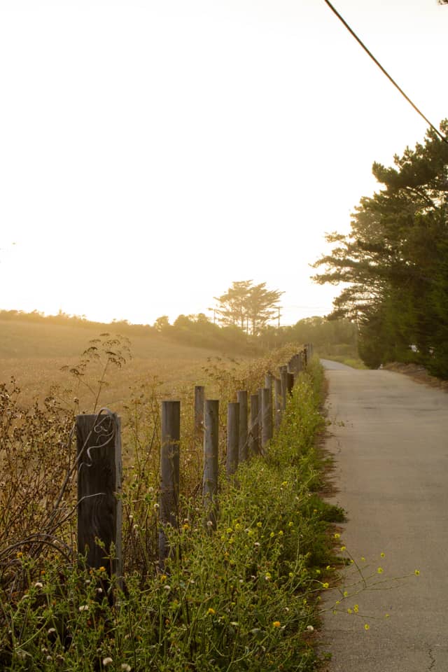 Half Moon Bay Coastal Farmland - Image 1