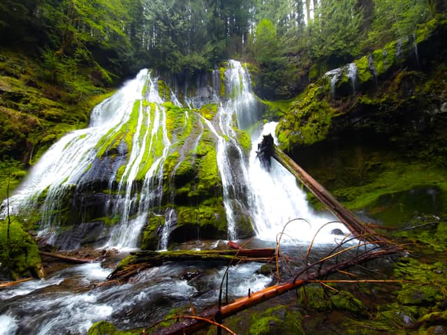 Falls Creek Falls - Image 1