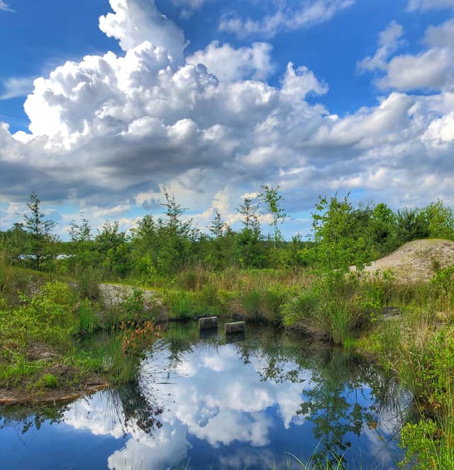 Whitesbog Village - Image 1