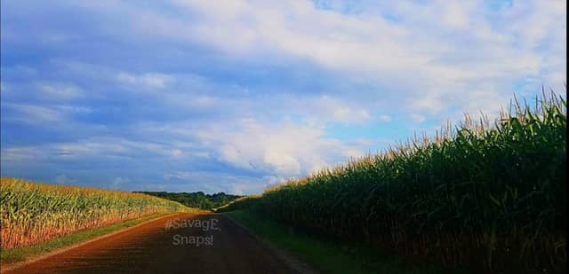 Attica Farmland Vista - Image 1