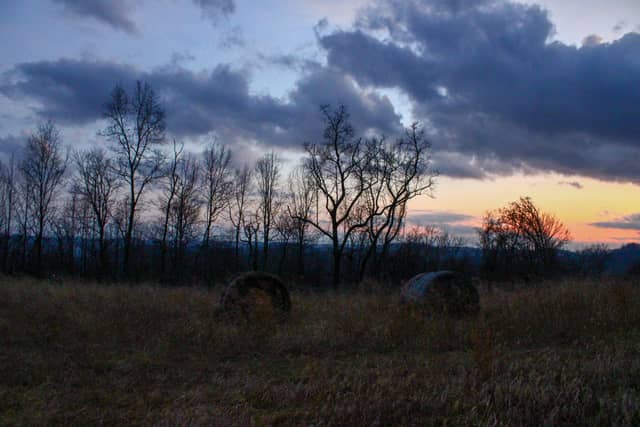 Duffield Rural Farmland - Image 1