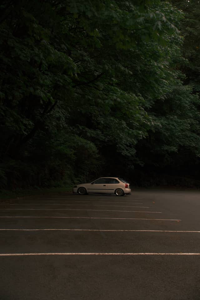 Seahurst Park Forest Edge - Image 1