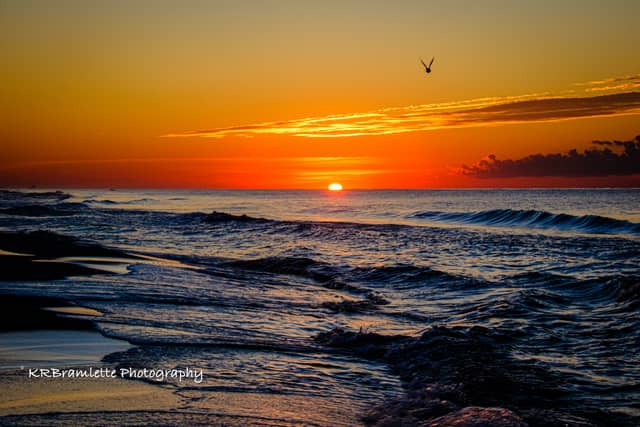 Navarre Beach - Image 1