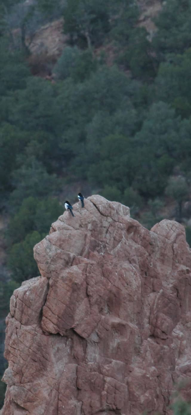 Garden of the Gods - Image 1