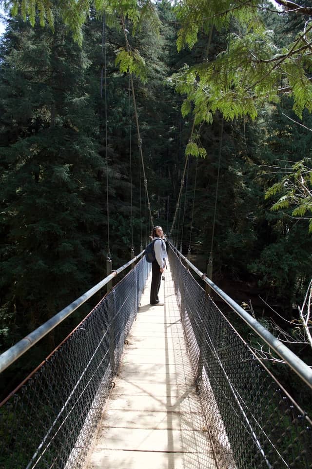 Drift Creek Falls Suspension Bridge - Image 1