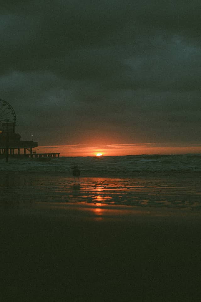 Galveston Island Historic Pleasure Pier - Image 1