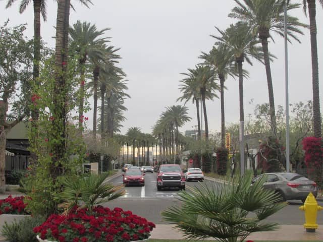 Tempe Marketplace Palm Boulevard - Image 1