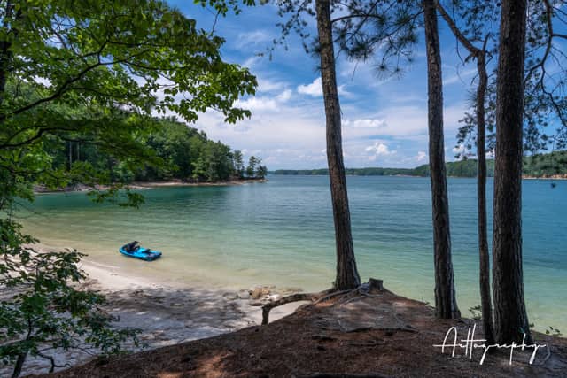 Lake Lanier Shoreline - Image 1