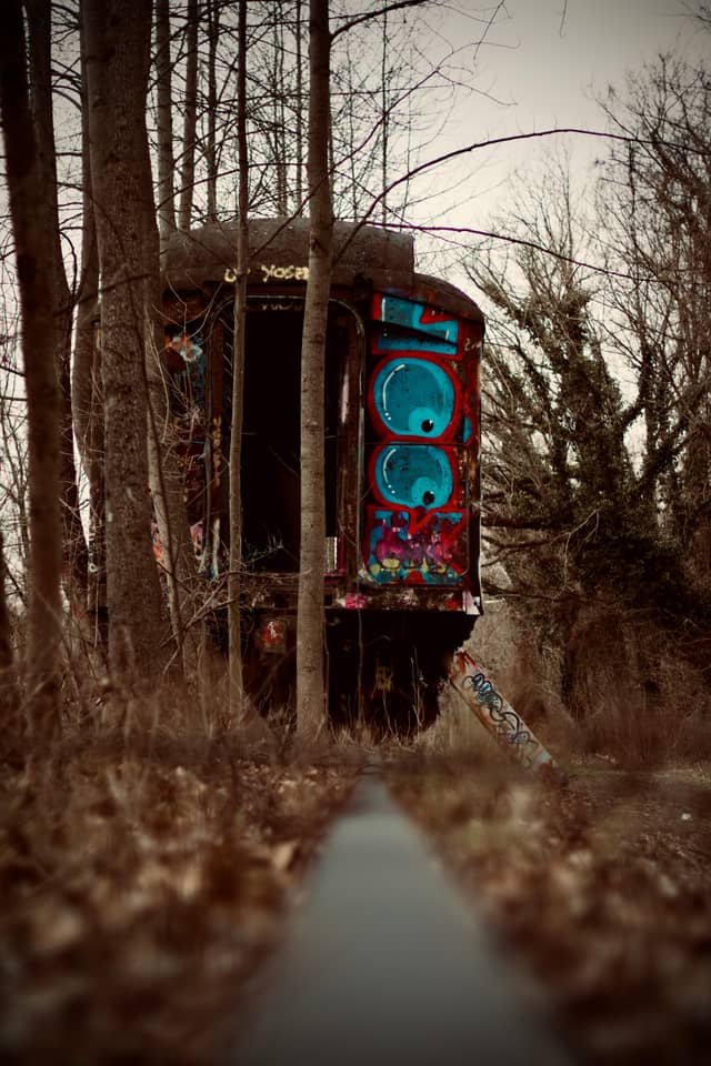 Lambertville Abandoned Train Cars - Image 1