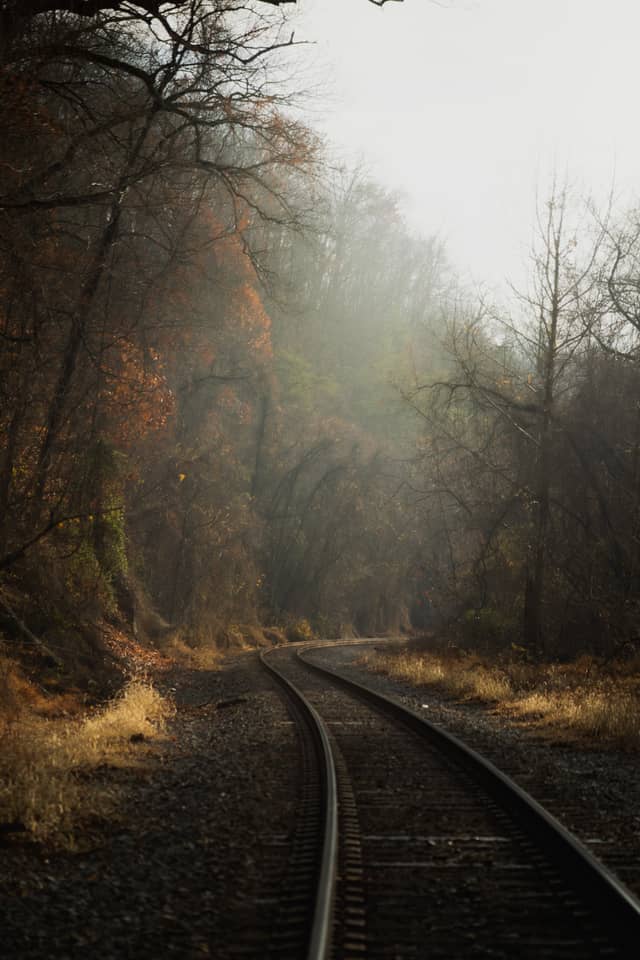 Patapsco Valley Railroad Tracks - Image 1