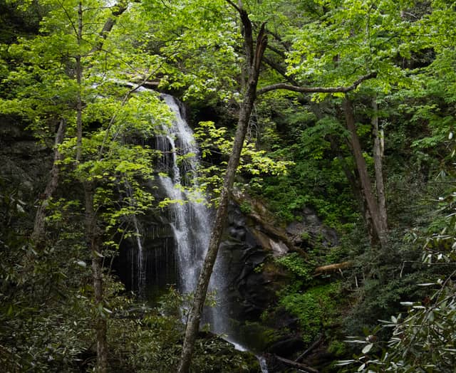 Catawba Falls - Image 1