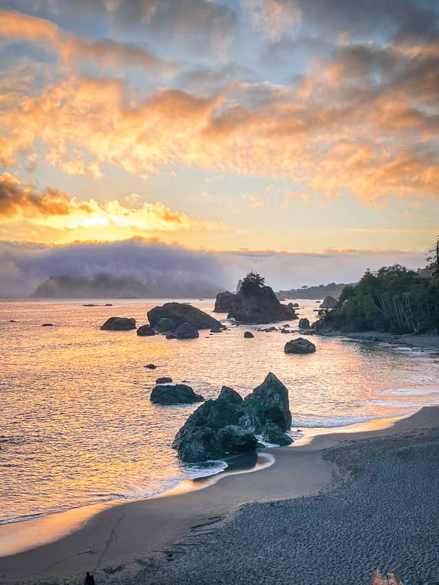Trinidad State Beach - Image 1