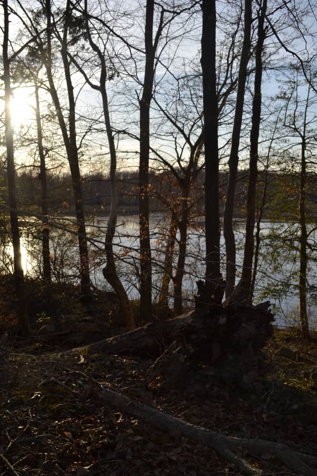 Government Island Overlook - Image 1