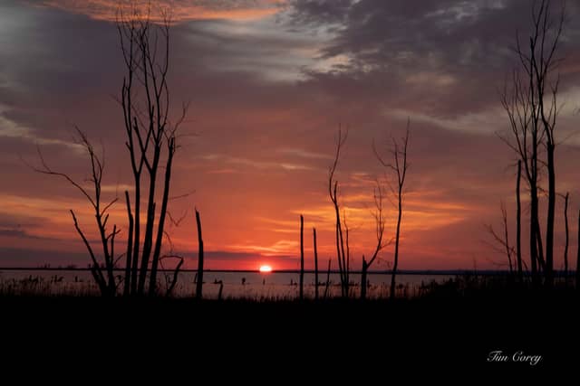 Ken Euers Nature Area - Image 1