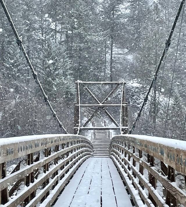 Bowl and Pitcher Suspension Bridge - Image 1