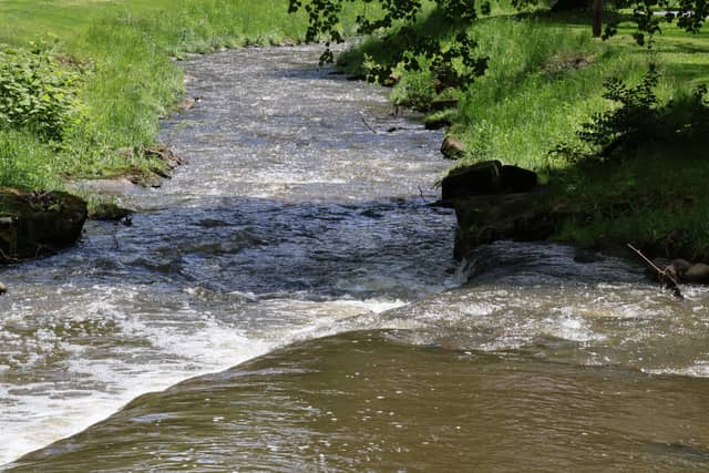 Sippo Creek Cascades - Image 1