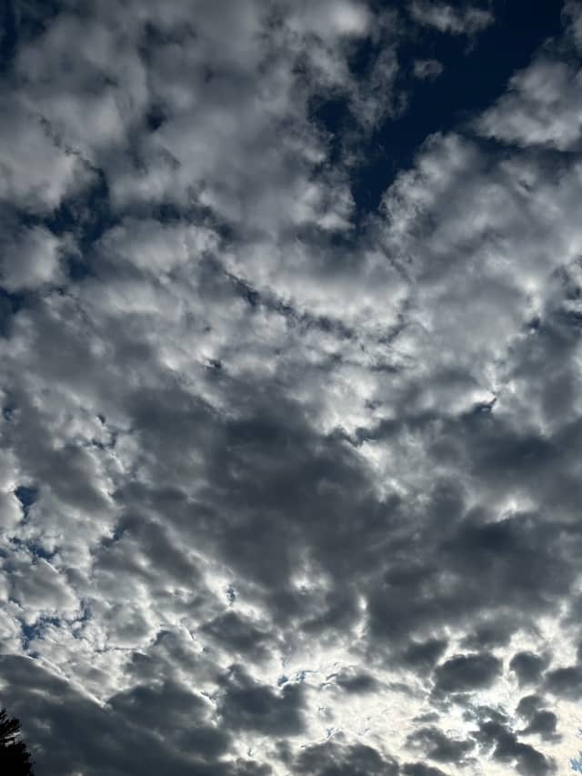Blue Hills Reservation - Image 1