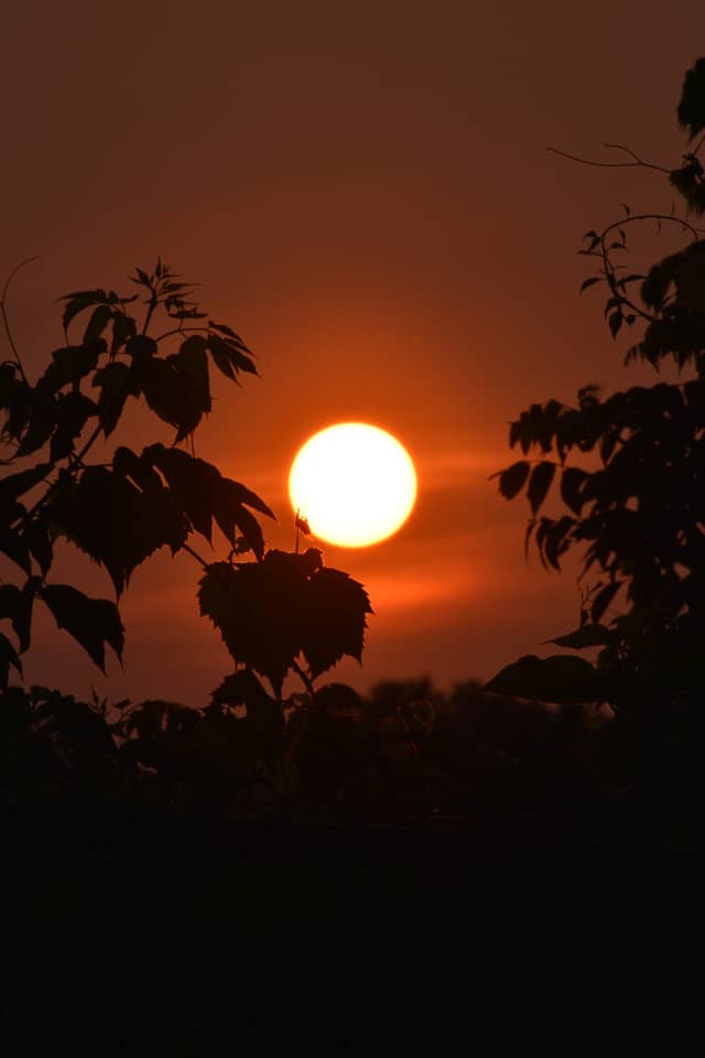 Hudson River Waterfront Sunset - Image 1