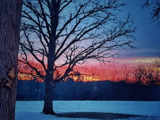 Randall Winter Sunset - Image 1